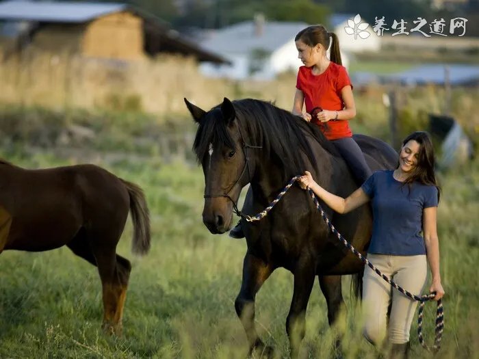 狗来月经多久交配