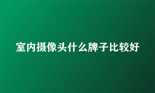 室内摄像头什么牌子比较好