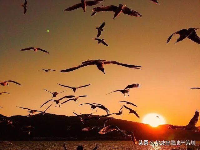 《春城晚报》发行情况怎么样？