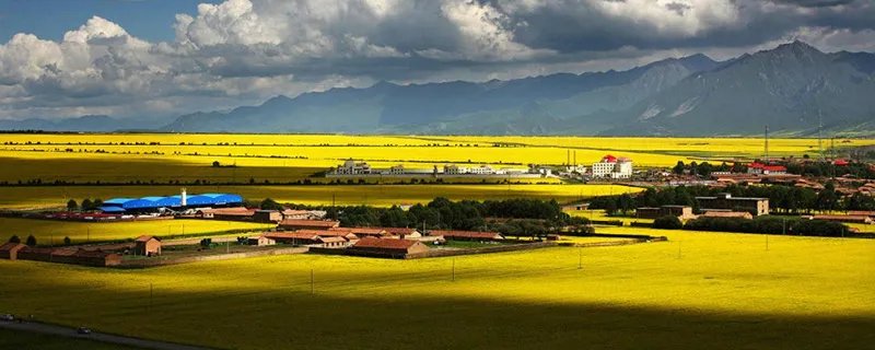 青海的省会在哪里 青海的省会是哪里