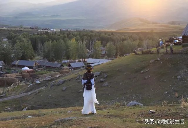 世界上最贵的东西都有哪些?