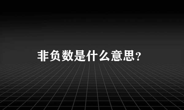 非负数是什么意思？