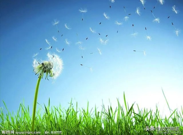 青春大概应该怎样过？