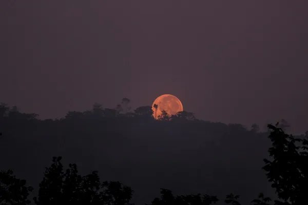 苏轼《水调歌头》全诗 《水调歌头》全诗