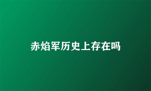 赤焰军历史上存在吗