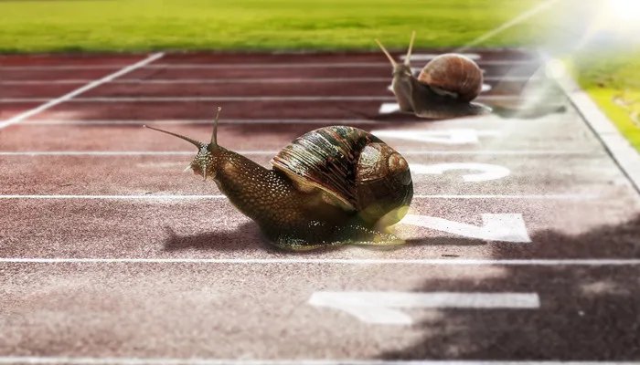 蜗牛是益虫还是害虫