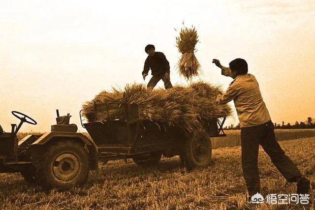 邯郸房价为什么这么贵?