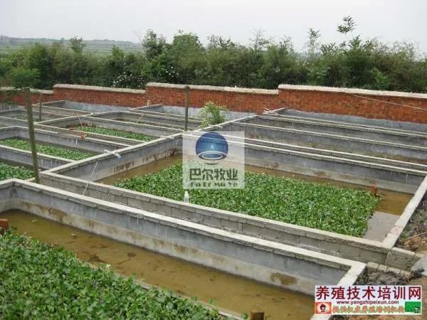 养殖巴巴网的介绍