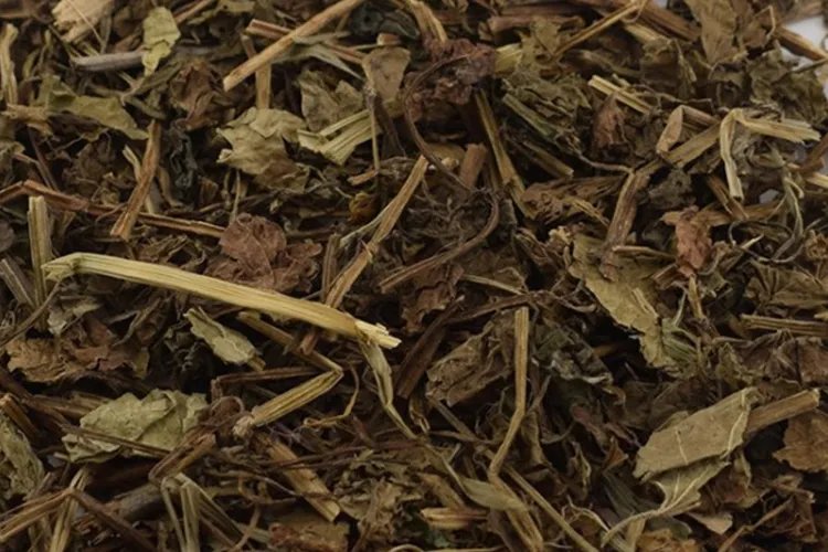 透骨消中草药图片