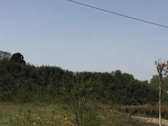 信阳现在的房价大概是多少钱？