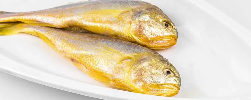 黄花鱼是不是海鱼 黄花鱼是海鱼吗