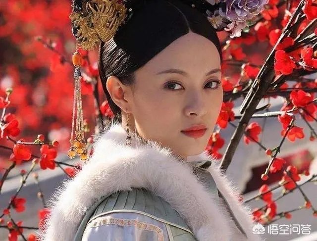 如何评价《甄嬛传》？