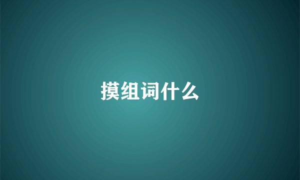 摸组词什么