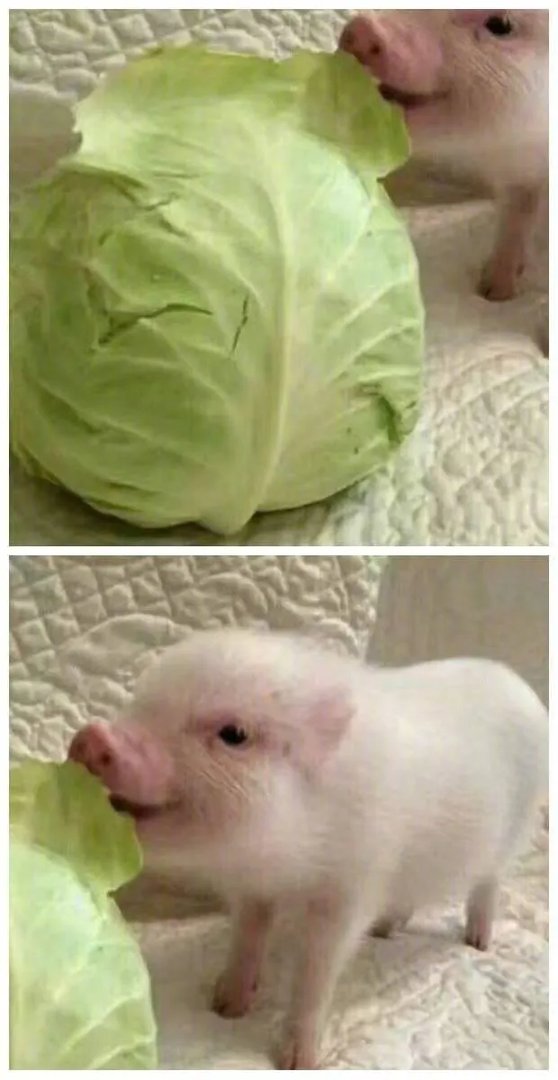 有什么霸气的情侣头像？