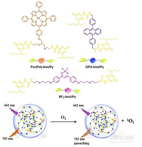 聚合度怎么计算