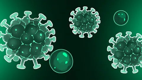 雾霾对人体有什么危害