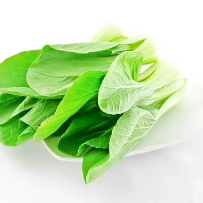 舌苔发白是什么原因引起的