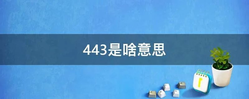 443是啥意思