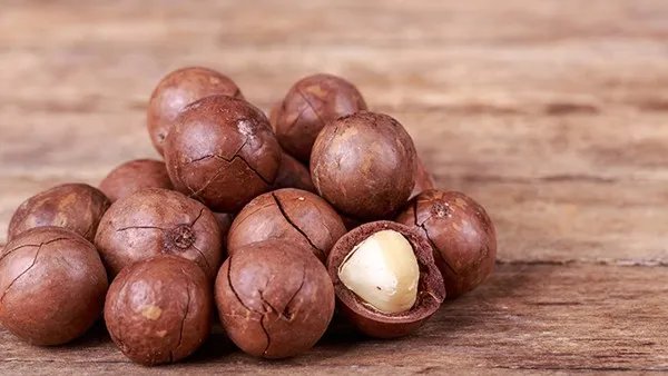 沙棘的介绍 沙棘的营养价值