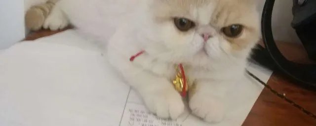 天灰灰会不会让我忘了你是谁是什么歌 完整歌词