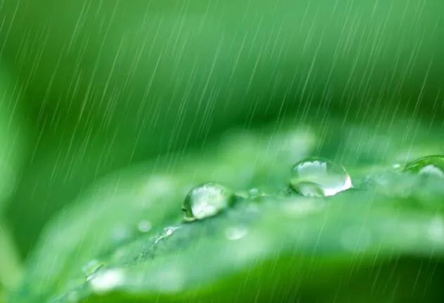 天街小雨润如酥草色遥看近却无描写哪个季节