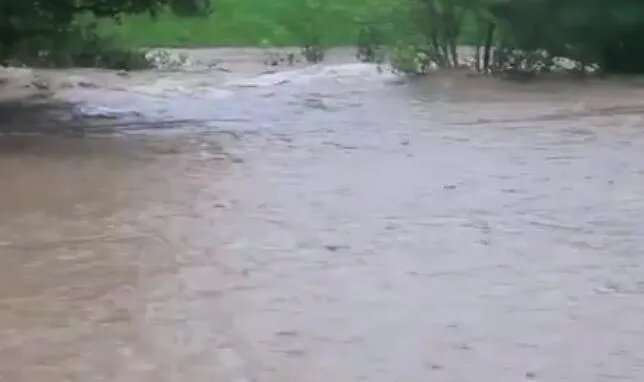 98年洪水是怎么造成的