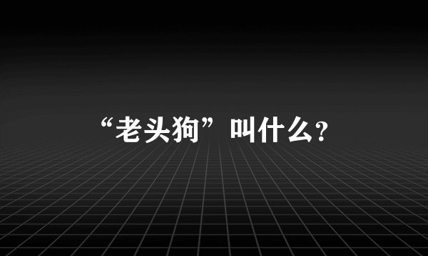 “老头狗”叫什么？