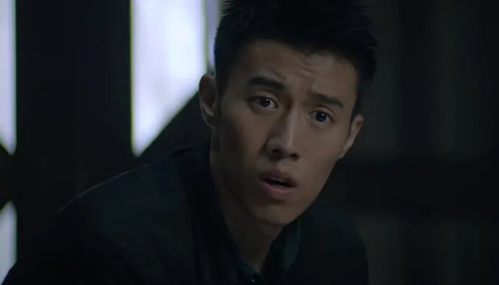 迷雾追踪剧情介绍