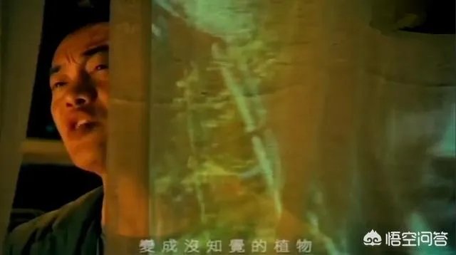 圣诞结什么意思