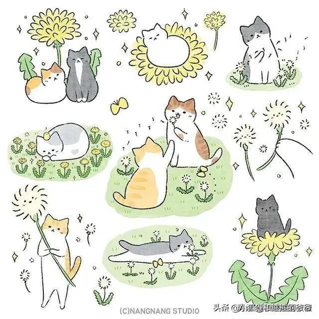 大家有没有小猫咪的图片？