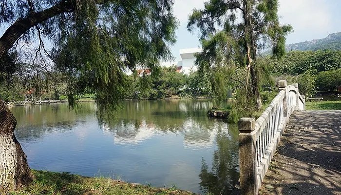 汕头大学分数线