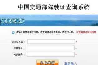 个人信息查询系统