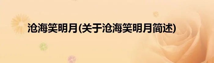 沧海笑明月(关于沧海笑明月简述)