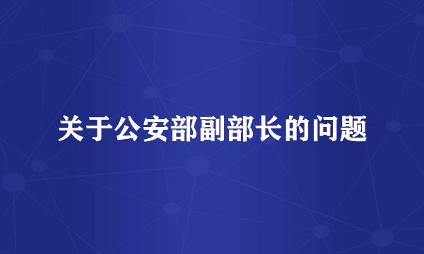 关于公安部副部长的问题