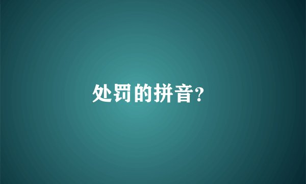 处罚的拼音？