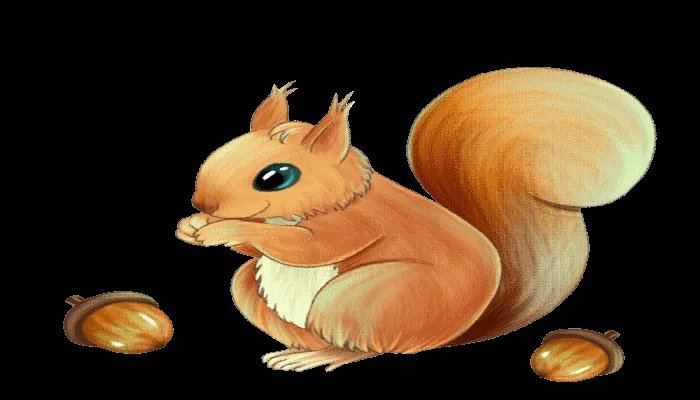 冬眠的动物有哪些