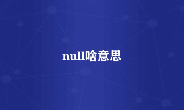 null啥意思