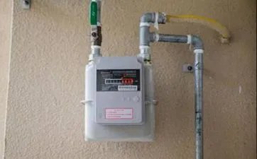 壁虎在家里是什么征兆 壁虎在家里会不会有危险