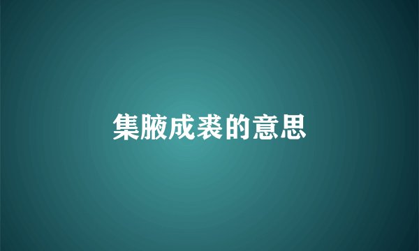 集腋成裘的意思