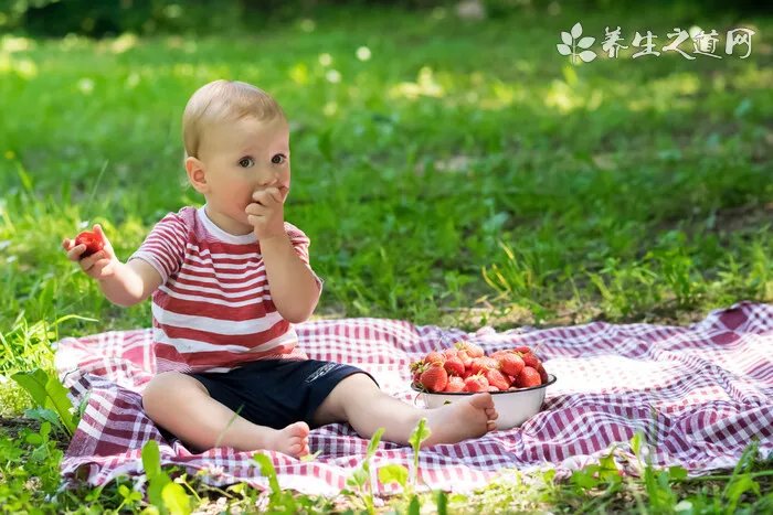 养仓鼠是否会染上鼠疫 养仓鼠安全吗