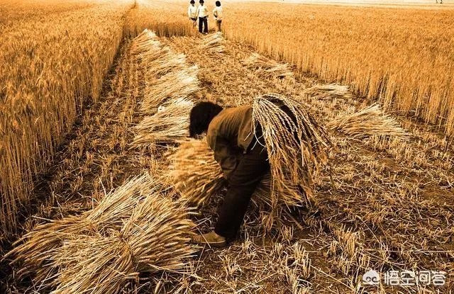 邯郸房价为什么这么贵?