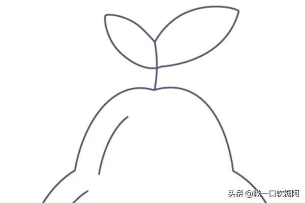 梨子简笔画图片设计?