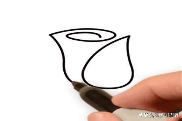 玫瑰花简笔画怎么画？
