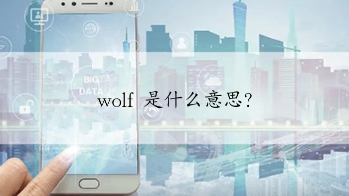 wolf 是什么意思？