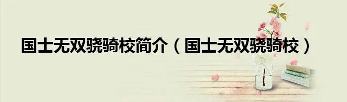 国士无双骁骑校简介（国士无双骁骑校）