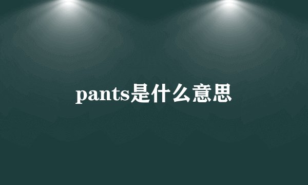 pants是什么意思