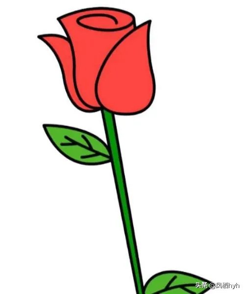 玫瑰花简笔画怎么画？