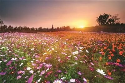 南京中医药大学怎么样？