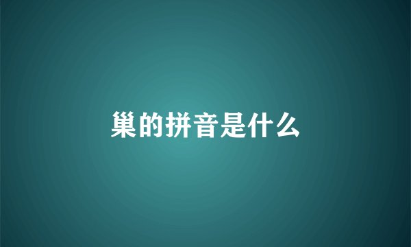 巢的拼音是什么