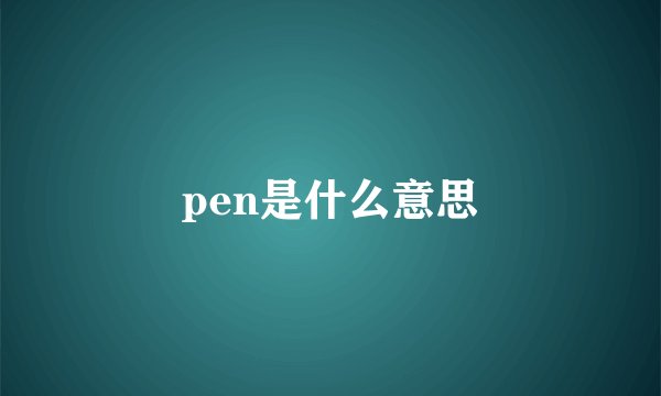 pen是什么意思